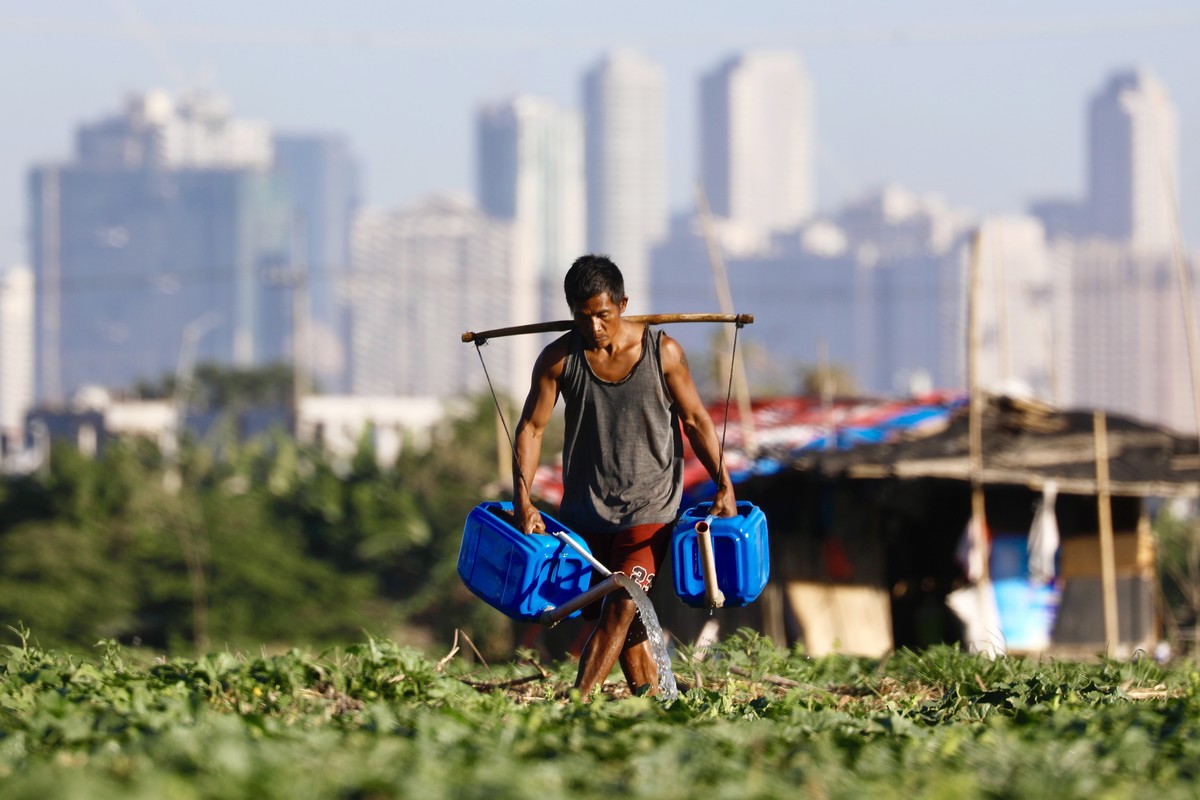 epaselect epa11171325 A farmer sprays insecticide on a field in Taguig city, Metro Manila, Philippines, 22 February 2024. The Philippine weather bureau said almost half of the country's 82 provin ...