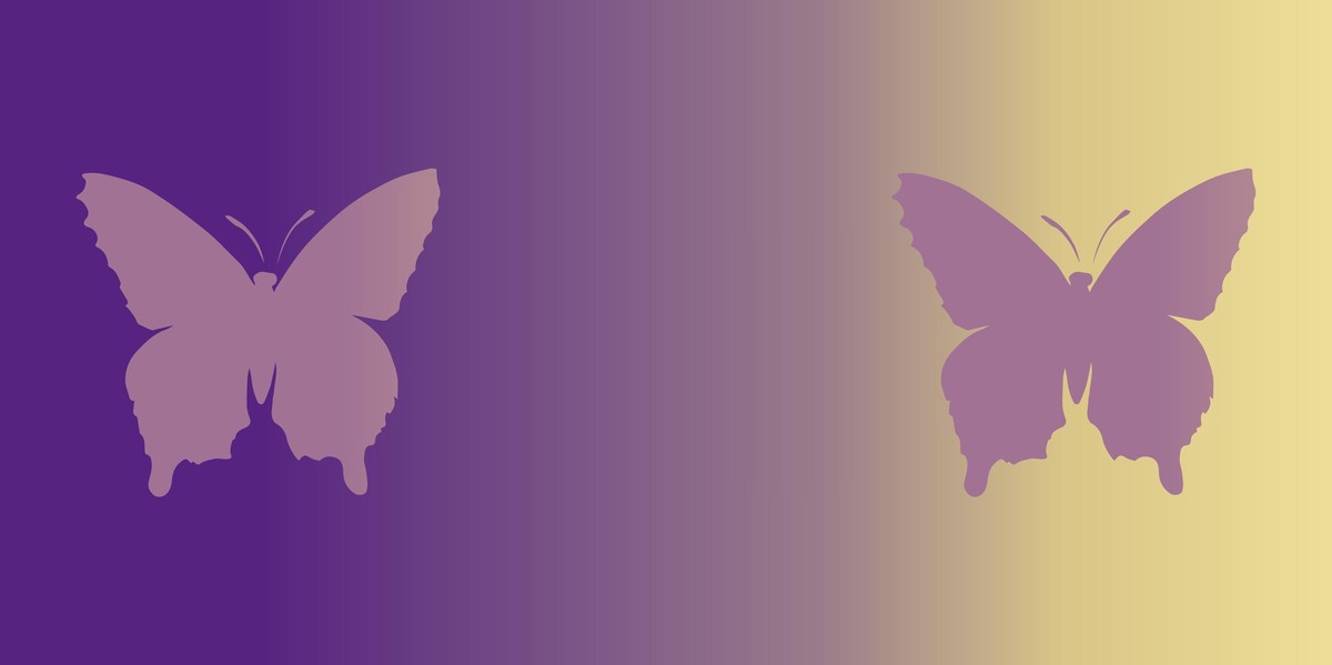 Schmetterling