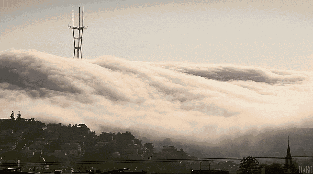 No matter how gray and gloomy, fog can be so fascinating