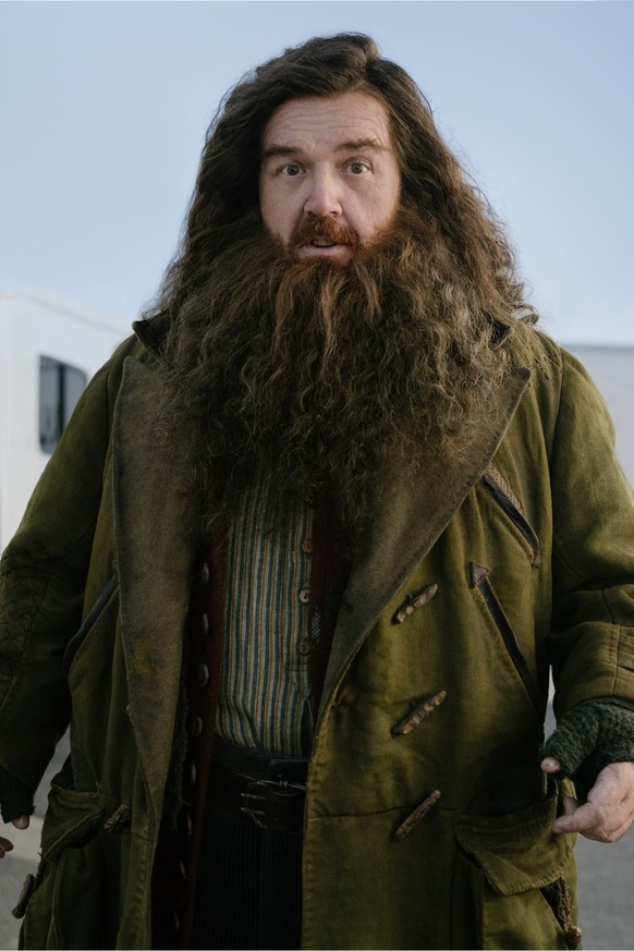 nick frost als hagrid in harry potter serie