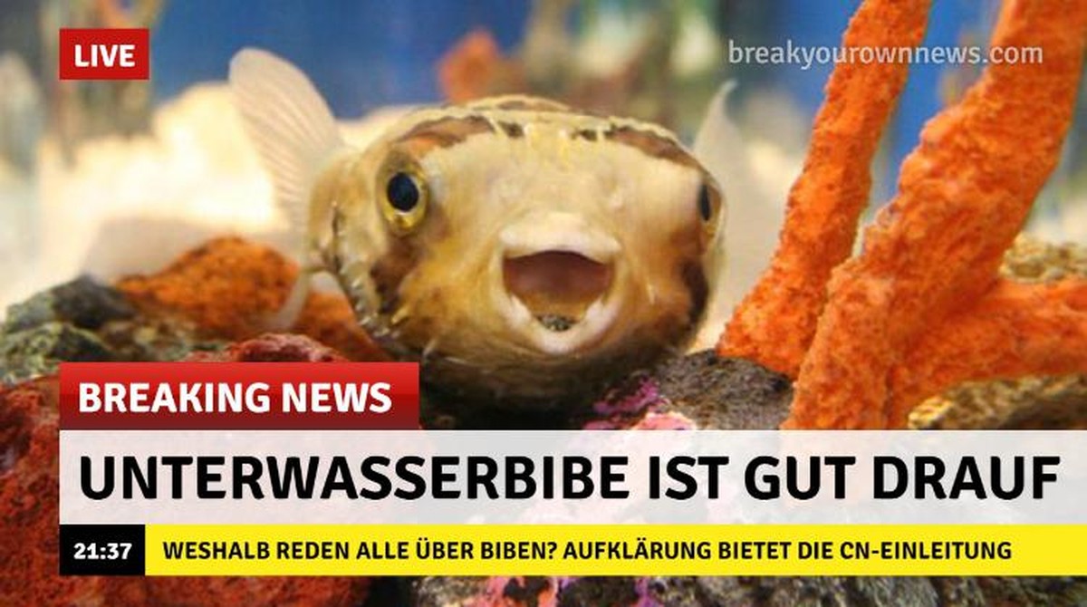 Unterwasserbibe