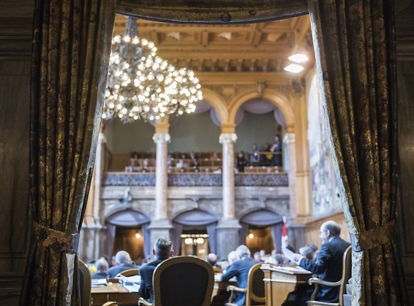 Die Luzerner Grünen wollen den Schritt in den Ständerat schaffen. (Archivbild)