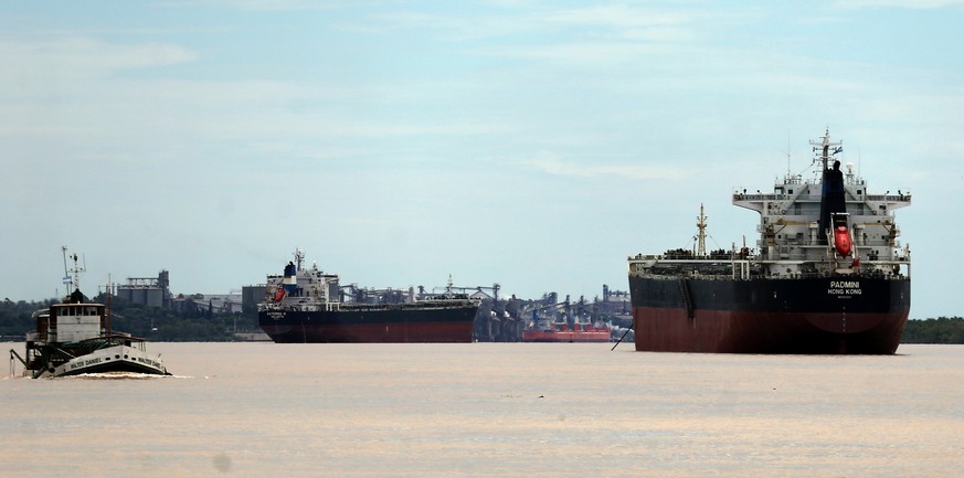 Ships used to carry grains for export are seen next to a dredging boat (L) on the Parana river near Rosario, Argentina, January 31, 2017. Picture taken January 31, 2017. REUTERS/Marcos Brindicci