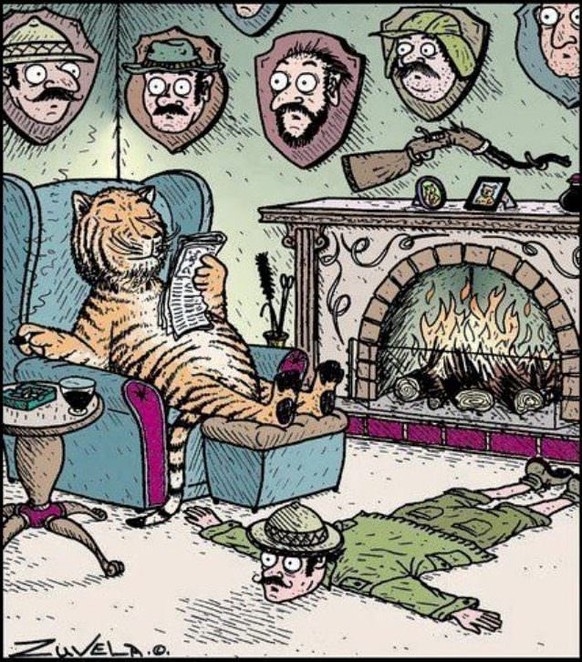 Parallel-Universum, Picdump
