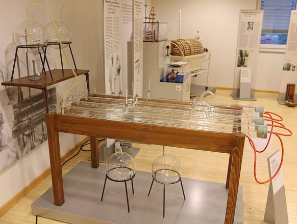 Nachbau der von Georg Haas 1924 benutzten „künstlichen Niere“, Dialysemuseum Fürth.
https://commons.wikimedia.org/w/index.php?curid=63119063