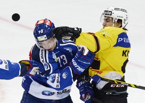 Am 7. Januar geht es zwischen Bern und den ZSC Lions zur Sache.