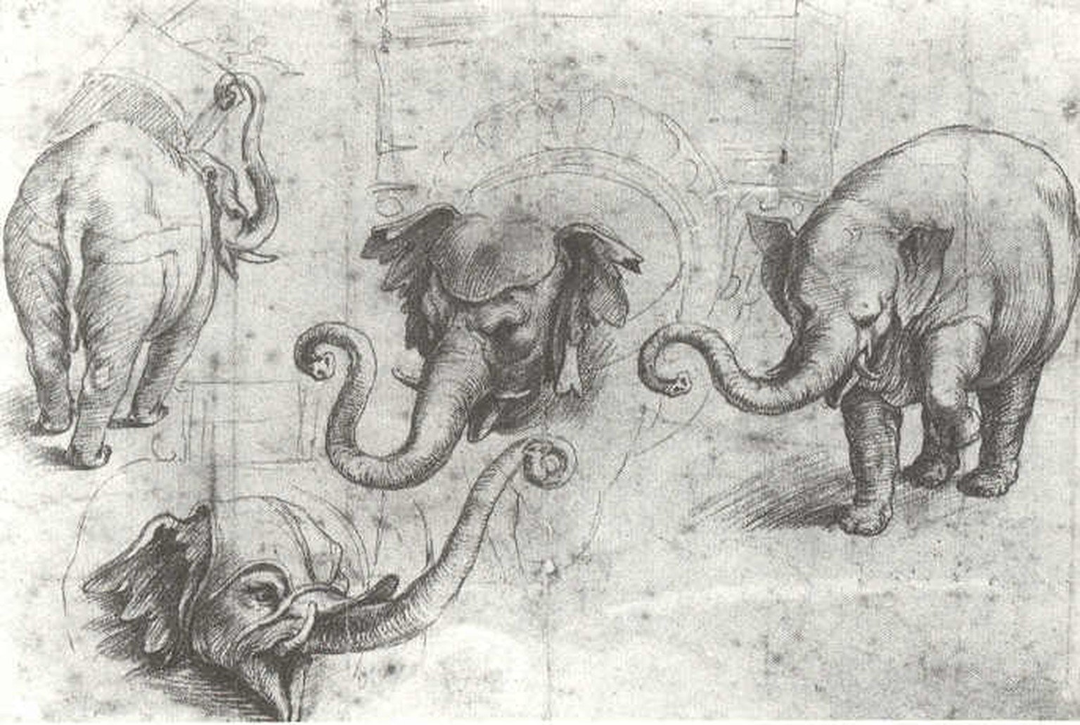 Vier Studien Hannos, die als Vorlagen für zahlreiche Gemälde, Fresken und Illustrationen dienten. Ursprünglich Raffael zugeschrieben, gelten sie heute als Werke von Giulio Romano. Die Studie links obe ...