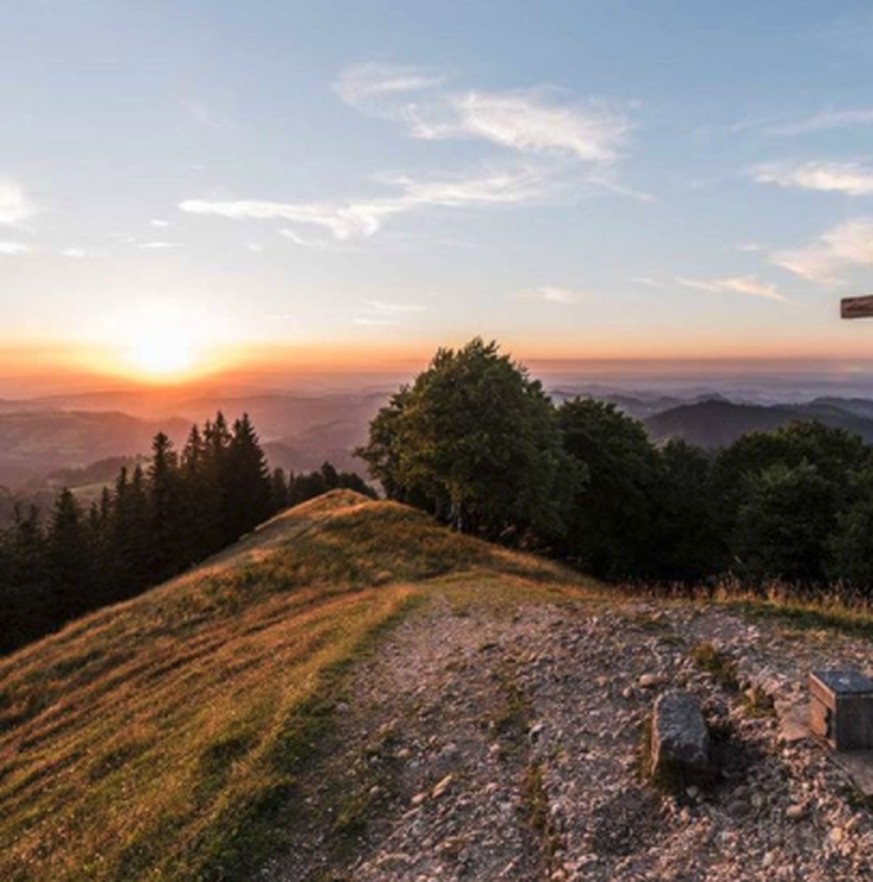 Die 10 schönsten Wanderungen direkt vor deiner (Stadt-) Haustüre