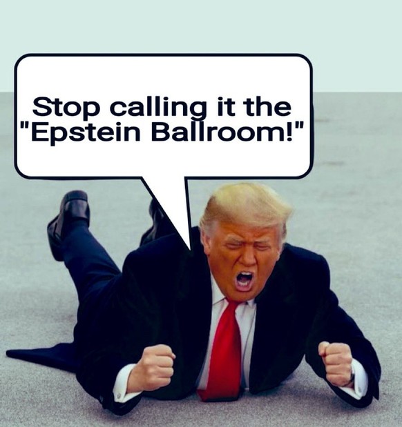 Trump Epstein Meme