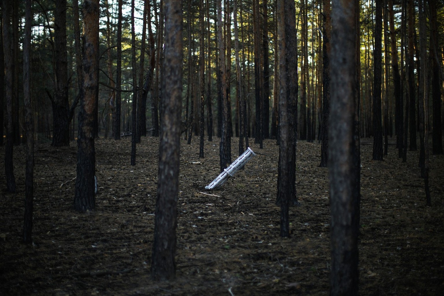 A Russian rocket sticks in a forest near Oleksandrivka village, Ukraine, Thursday, Oct. 6, 2022. (AP Photo/Francisco Seco)