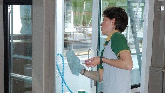 Nichts hassen die Schweizer mehr, als ihre Fenster zu putzen. Jeder 5. (21 Prozent) würde den Glasreiniger am liebsten im Schrank stehen lassen. Doch es gibt Unterschiede bei den Geschlechtern. Fenste ...