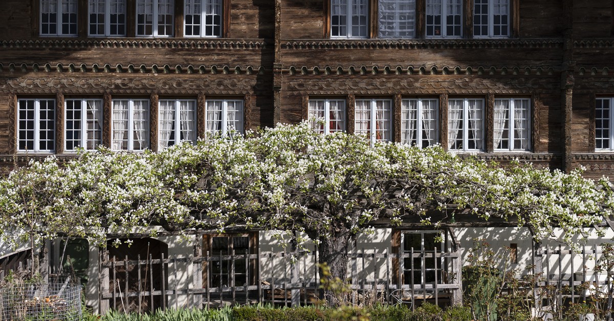 Kanton-Z-rich-f-hrt-H-rtefallklausel-bei-Eigenmietwert-ein