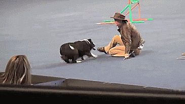 Animiertes GIF