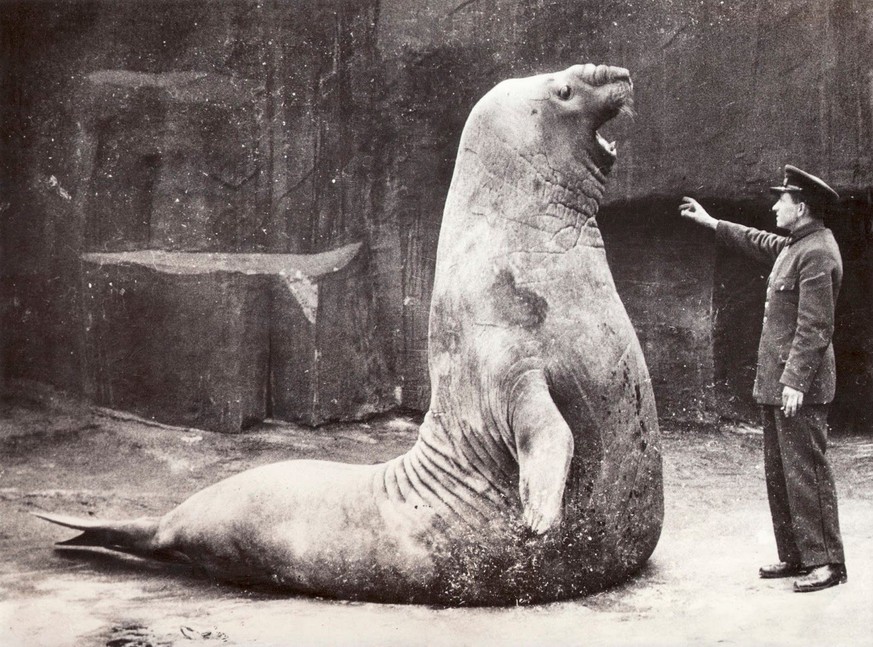 History Porn Teil XIII: Geschichte in 21 Wahnsinns-Bildern