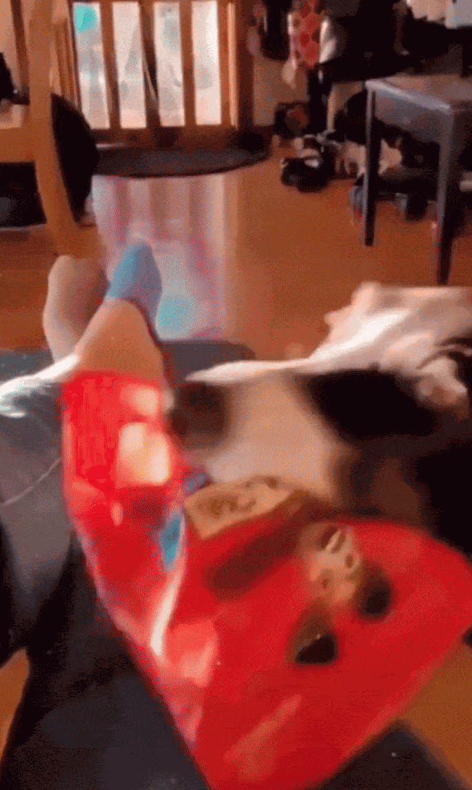 Animiertes GIF
