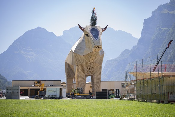 Der Holzmuni Max, aufgenommen am Freitag, 8. August 2025, auf dem Gelaende des Eidgenoessischen Schwing- und Aelplerfestes ESAF 2025, in Mollis. Der Holzmuni ist 21 Meter hoch und soll nach dem ESAF z ...