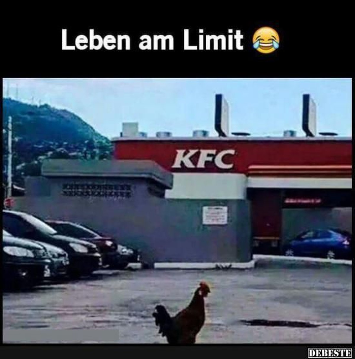 Picdump. Spass. Jetzt.
1 dicken Huhn ist ein Adrenalinjunkie