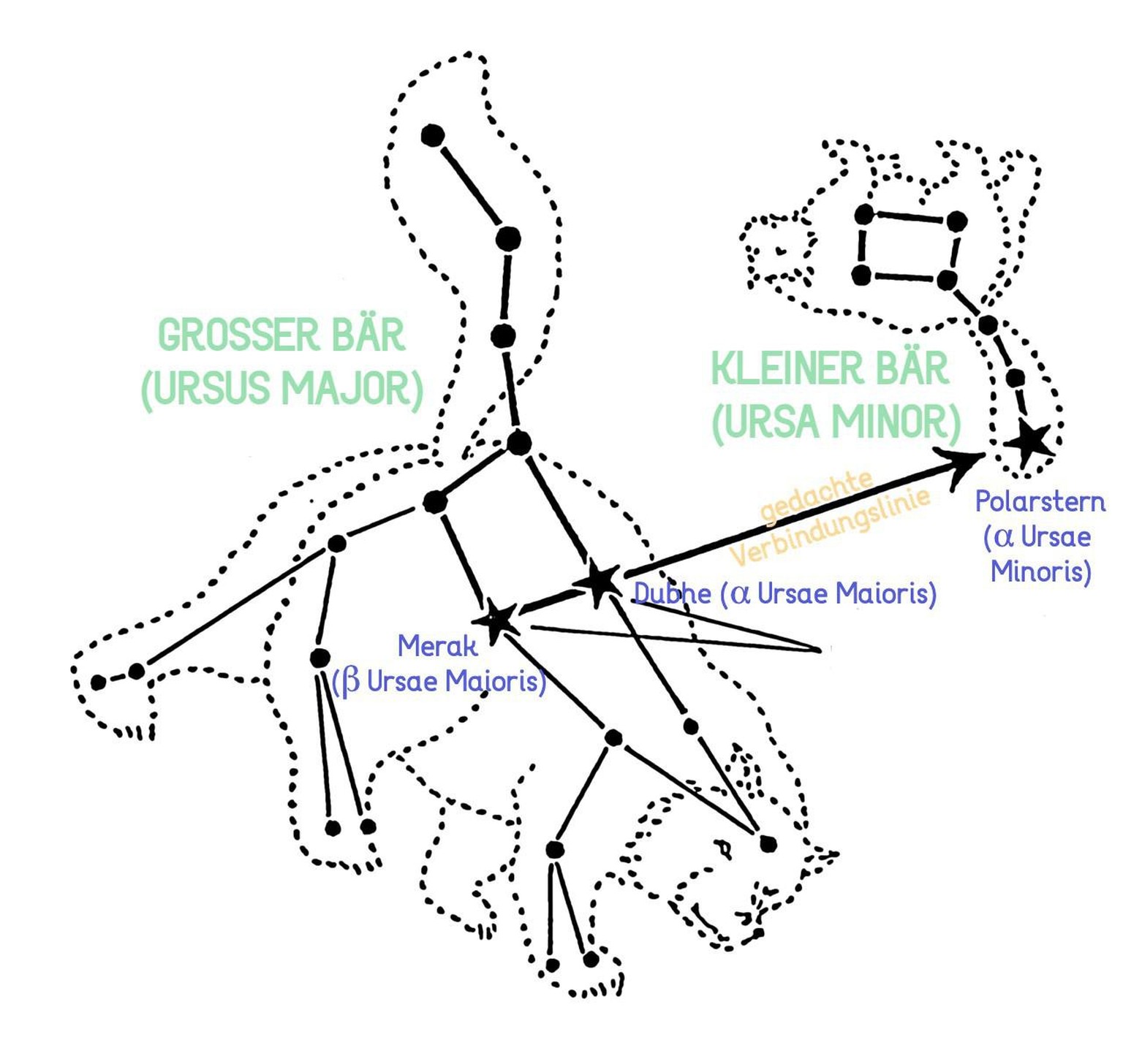 Ziehe eine etwa fünffach längere Verbindungslinie zwischen den beiden Polarweisern Merak und Dubhe des Grossen Bären und du findest den hell leuchtenden Polarstern im Sternbild des Kleinen Bären.