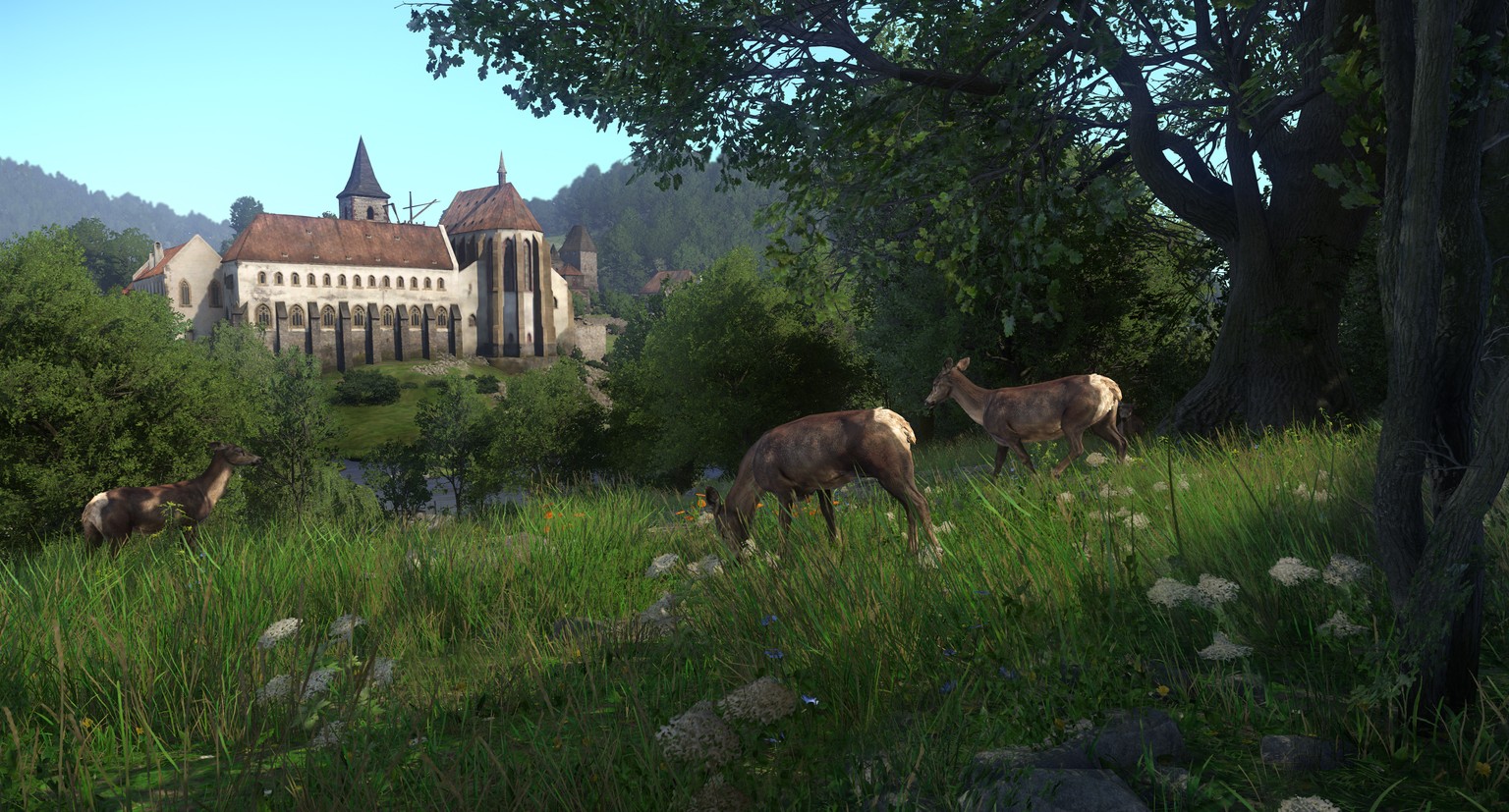 Schöne Landschaften und süsse Tiere. Doch das Ziel bleibt die Burg.