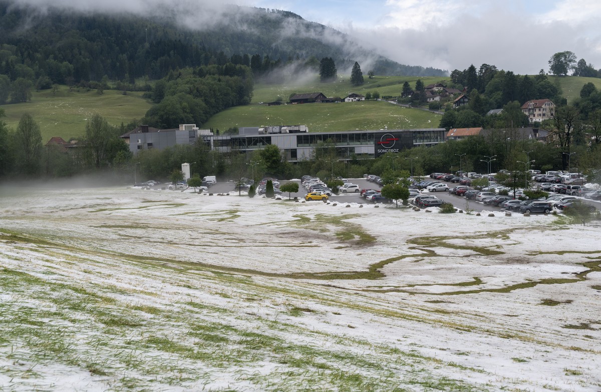 Am Tag danach sind Felder und Wiesen noch mit einer dicken Hagelschicht bedeckt. Am Mittwoch Abend, 23. Juni 2021 kam es zu starkem Hagel und Regen, das Unwetter brachte Ueberschwemmungen und grosse S ...