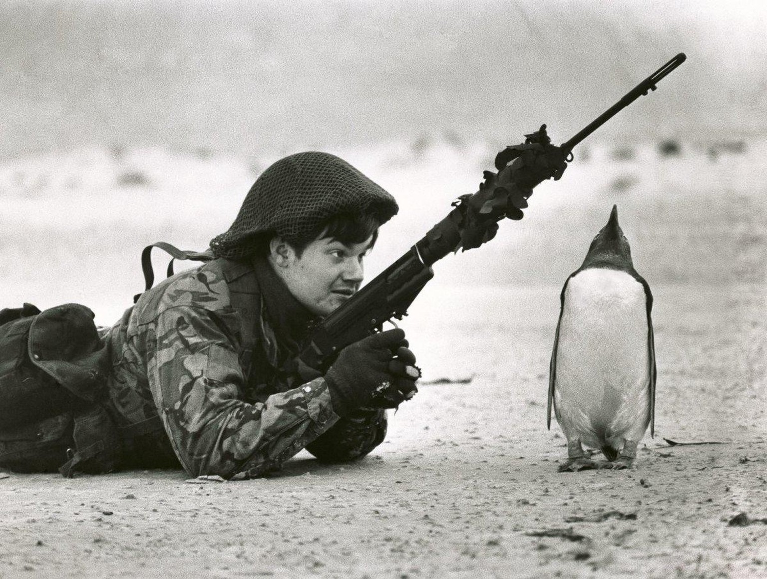 A penguin stands to attention next to a British soldier during the Falklands War, 1982