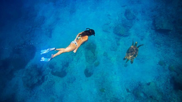 Unterwasser-TV in 4K: Tauchen in Costa Rica.