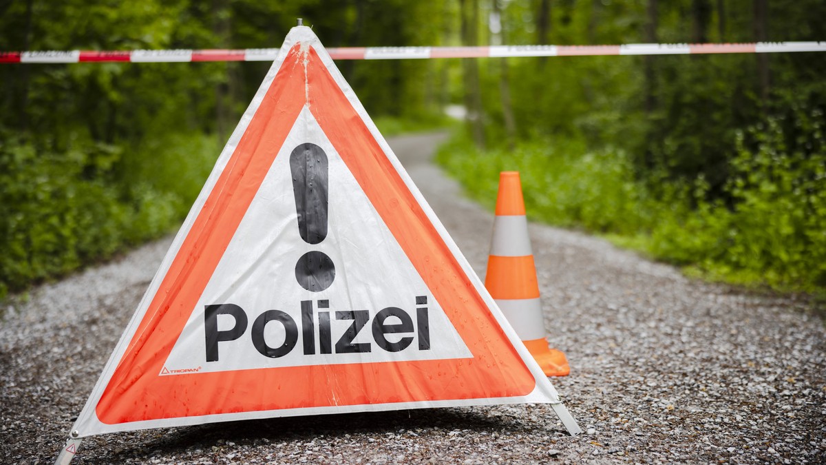 Einbrecher-fl-chtet-vor-Hausbewohnern-und-st-rzt-elf-Meter-tief