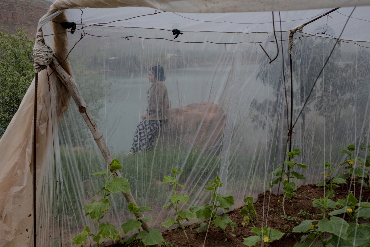 This image provided by World Press Photo is part of a series titled Battered Waters which won the World Press Photo Long Term Projects award by photographer Anush Babajanyan, VII Photo for National Ge ...