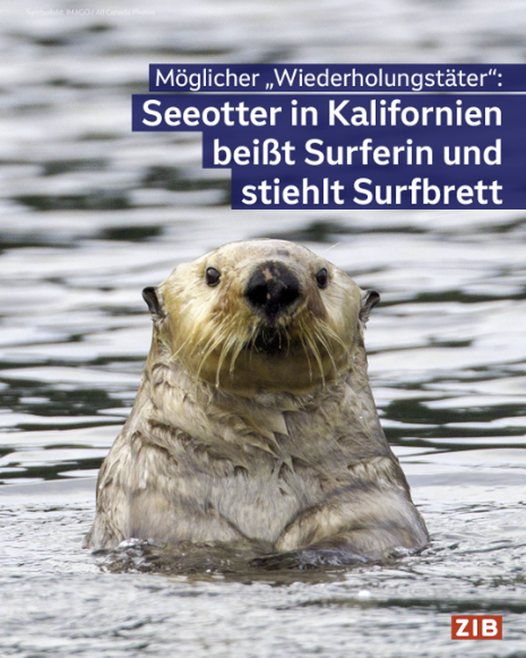 Die lustigsten Fails der Woche