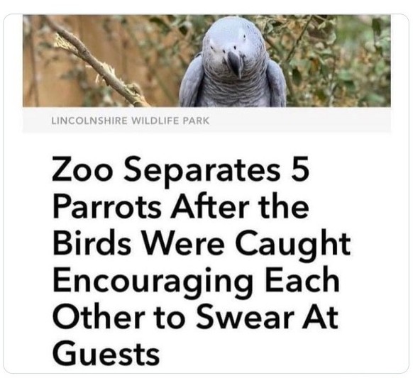 Perlen des Lokaljournalismus - UK edition 
https://x.com/MentalHeadline