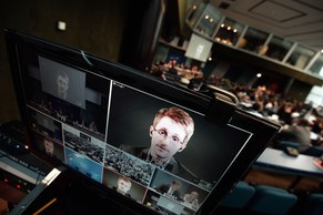 Snowden&nbsp;war per Video zu der Anhörung vor dem Europarat in Strassburg zugeschaltet.