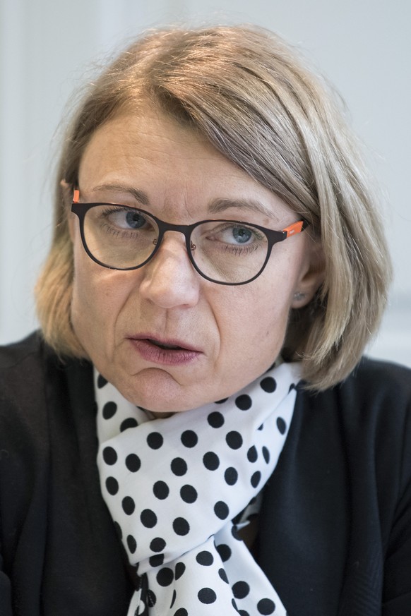 Yvonne Feri, Nationalraetin AG, von der SP Schweiz orientiert an einer Medienkonferenz ueber die Reformorientierte Plattform der SP Schweiz zur Praesentation &quot;Positionspapier Oeffentliche Sicherh ...