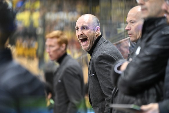 Der Davoser Head Coach Christian Wohlwend hinter der Bande beim Schreien, in Spiel 6 des Playoff 1/4 Final Eishockeyspiels der National League beim Eishockey Spiel der National League zwischen dem HC  ...