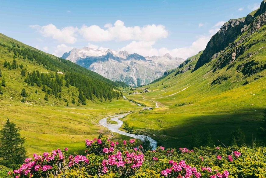 Rauszeit Nach hinten Wandern schöne Wanderung Schweiz Täler Fextal Val di Fex Sils im Engadin