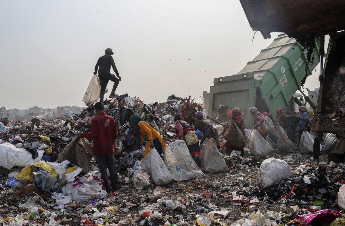 epa12156718 Waste collectors look for reusable items in waste dumped at a landfill in New Delhi, India, 05 June 2025. The Indian government launched a nationwide campaign titled ?One Nation, One Missi ...