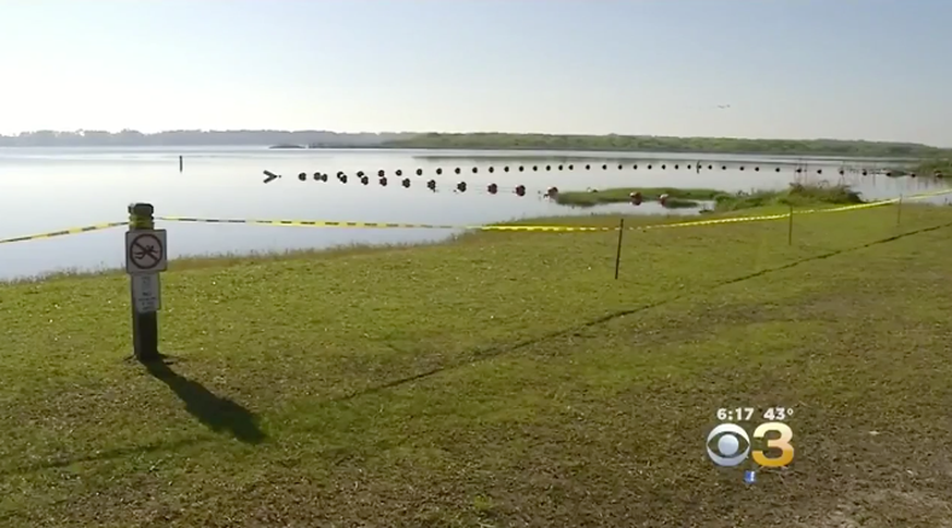 Lake Mary Jane im Moss Park, Florida, Hier wurde ein 10-jähriges Mädchen von einem Alligator angegriffen. Sie konnte den Angriff abwehren.