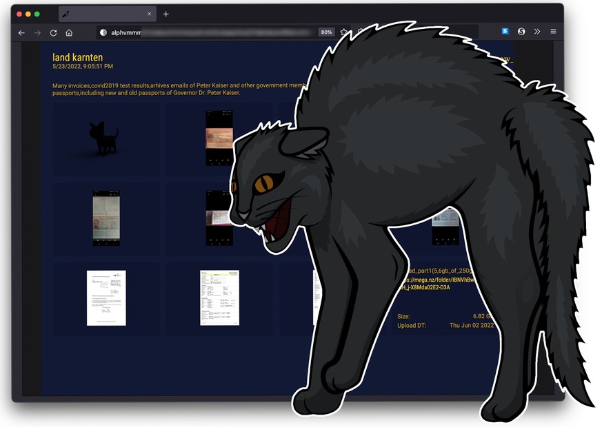 Auf der Leak-Site der Ransomware-Bande ALPHA alias «BlackCat» sind Passkopien und andere gestohlene Dokumente zugänglich gemacht worden.