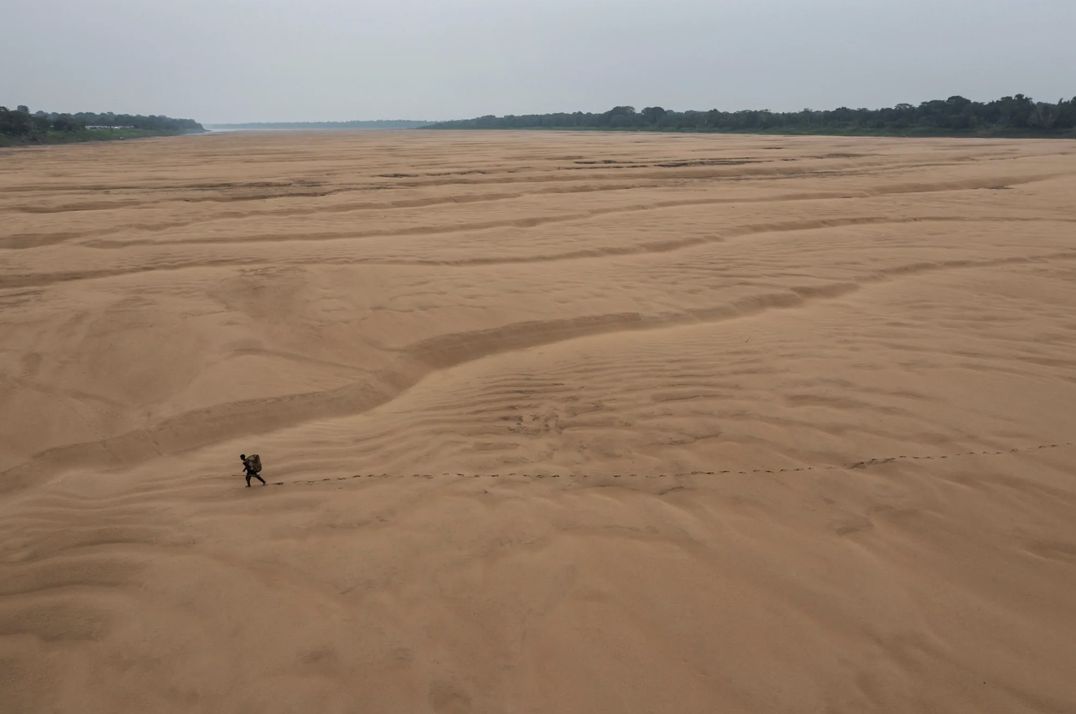 Weltpresse-Foto 2024, Gewinner Einzelbild Südamerika, Amazonas, Trockenheit