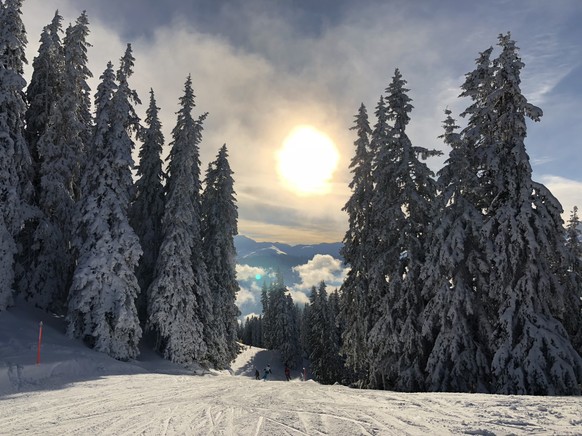 In den Bergen herrscht wieder Champagner-Laune â Skiorte rechnen mit Rekordsaison
MÃ¶gen viele Faktoren Einfluss haben, aber der stÃ¤rkste Treiber ist wohl schlicht der Schnee. Letztes Jahr war ich  ...