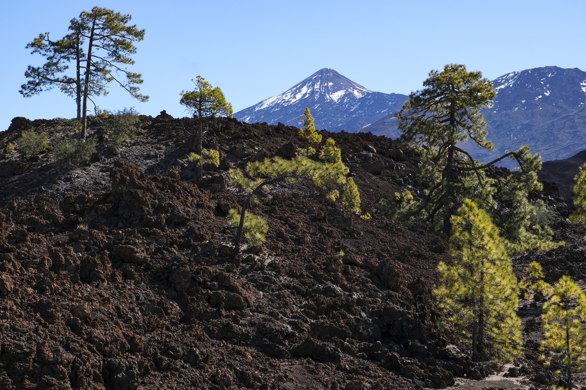 epa12734053 A view of Canadas del Teide National Park in Tenerife (Canary Islands) Spain, 13 February 2026. The area has recorded abnormal seismic activity over the last 10 years, which for the scient ...