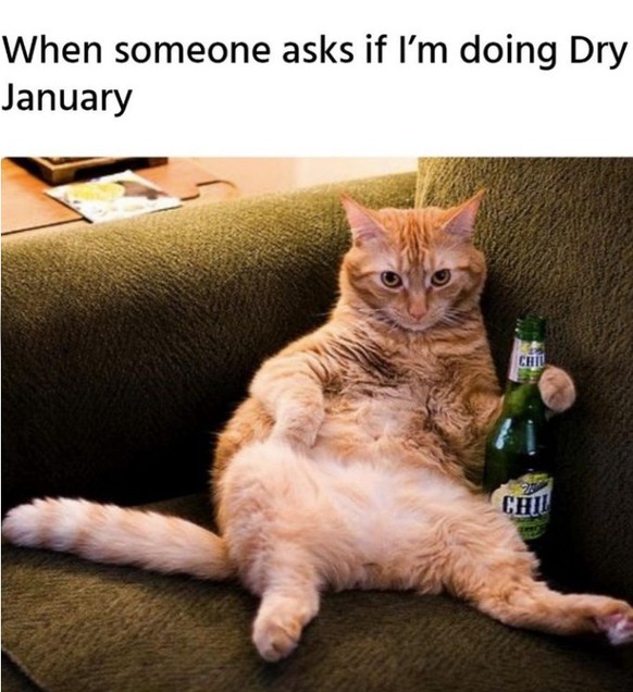 dry january memes reddit