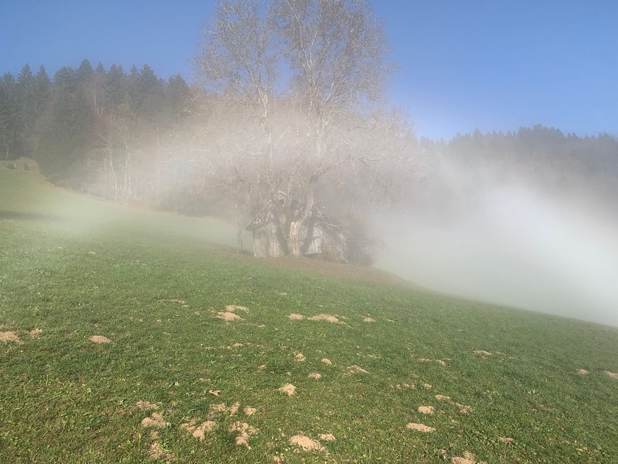 Farneralp Rauszeit Kurze Herbstwanderungen Nebelbogen