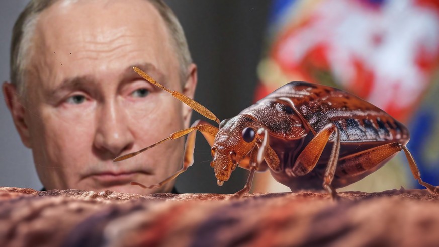 Teaserbild Putin Bettwanzen-Panik