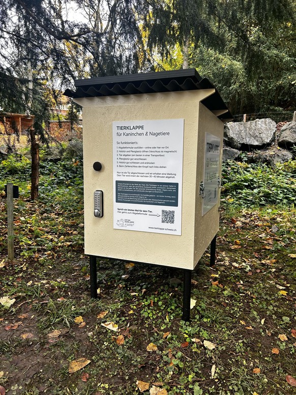 Tierklappe in Thun Bern