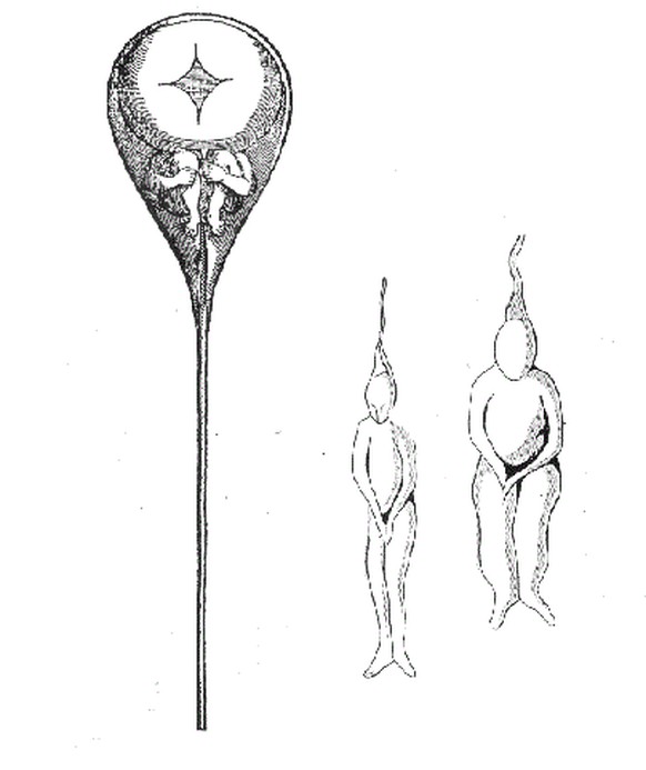 Auch das aristotelische und später christliche Bild der unfertigen, mangelhaften, passiven und empfangenden Frau hat sich bis ins 19. Jahrhundert gehalten. 1694 zeichnete der Holländer Hartsoeker den  ...