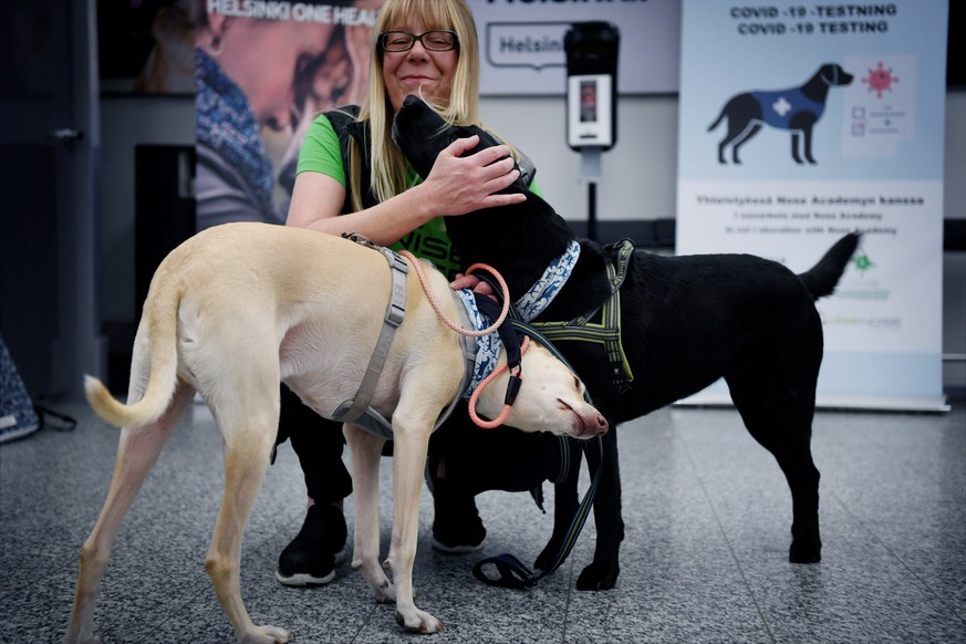Sniffer dogs named K'ssi, left and Miina react with trainer Susanna Paavilainen at the Helsinki airport in Vantaa, Finland, Tuesday, Sept. 22, 2020. Four corona sniffer dogs are trained to detect the  ...