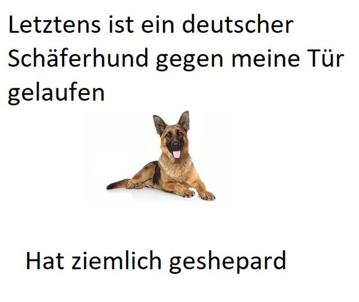 Bild