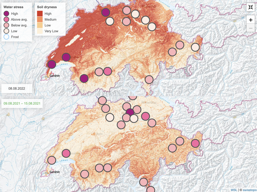 Die modellierte Karte des Bundes für Klimadienstleistungen zeigt auch die Messdaten der vergangenen Monate und Jahre. Hier abgebildet sind die Daten des Vorjahres (unten) verglichen mit dem 8. August  ...