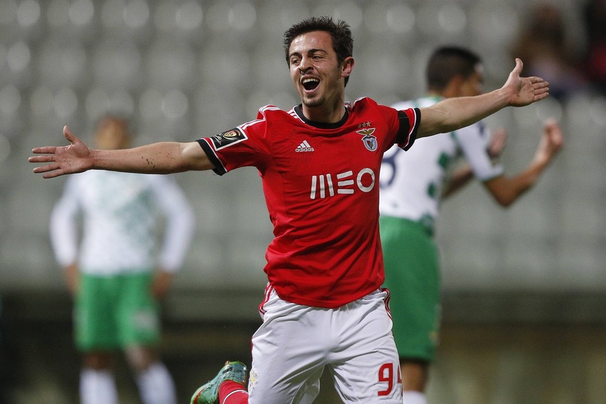 Moreira de Canons, Guimarães, 07/02/2014 - The Moreirense FC received tonight SL Benfica B, on Comendador Stadium Joaquim de Almeida Freitas in game donates 29th Day of the 2nd League 2013/2014. Berna ...