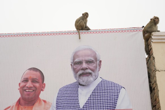 Macaques sit atop a large hoarding displaying portraits of Indian Prime Minister Narendra Modi, right, Yogi Adityanath, Chief Minister of Uttar Pradesh, in Ayodhya, India, Friday, Dec. 29, 2023. (AP P ...